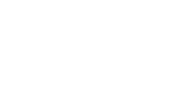 AGS (1)